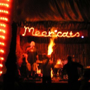 Meercats Music Festival