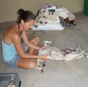 Caron Grant Hean with one of the dogs