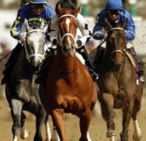Durban July 2011