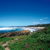 Down south
