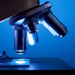 National Science Week