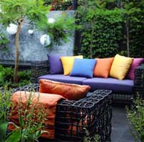 Sunday Tribune Garden Show competition