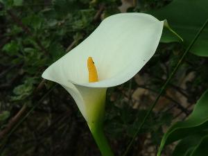Secure nature’s future