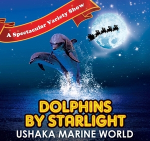 Dolphins by Starlight