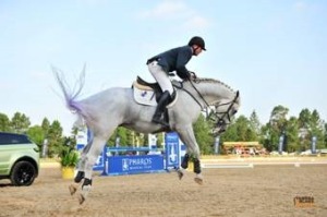 Horse and Wine Festival