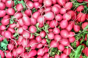 Really, the Radish?