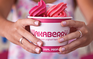 Wakaberry Summer Fun Day
