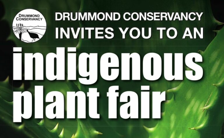 Indigenous Plant Fair