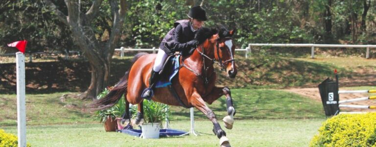 Derby Open Championships