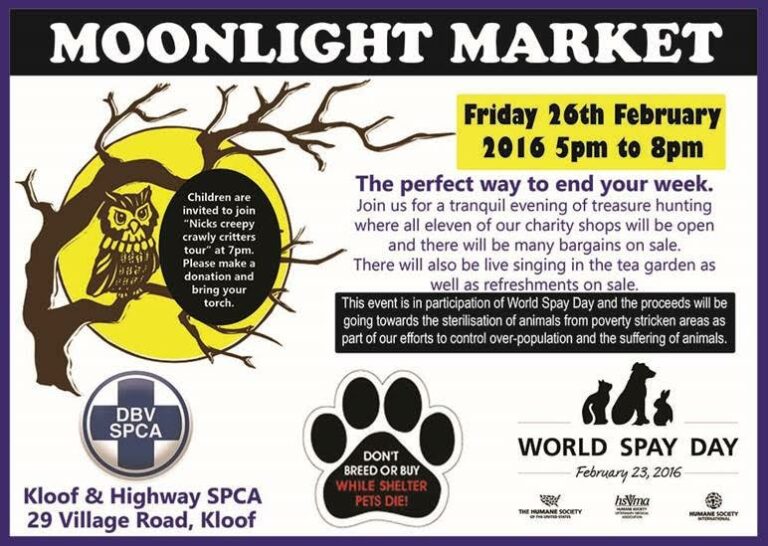 Moonlight Market