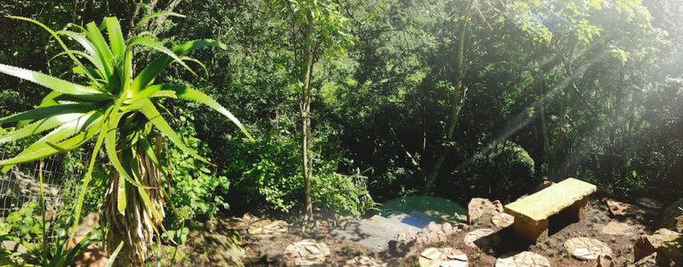 Kloof Conservancy Indigenous Open Gardens