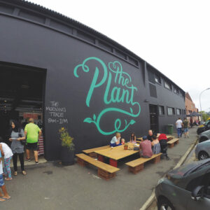the Plant
