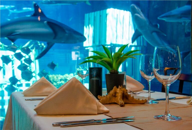 Celebrating Food, wine and women at Cargo Hold this August