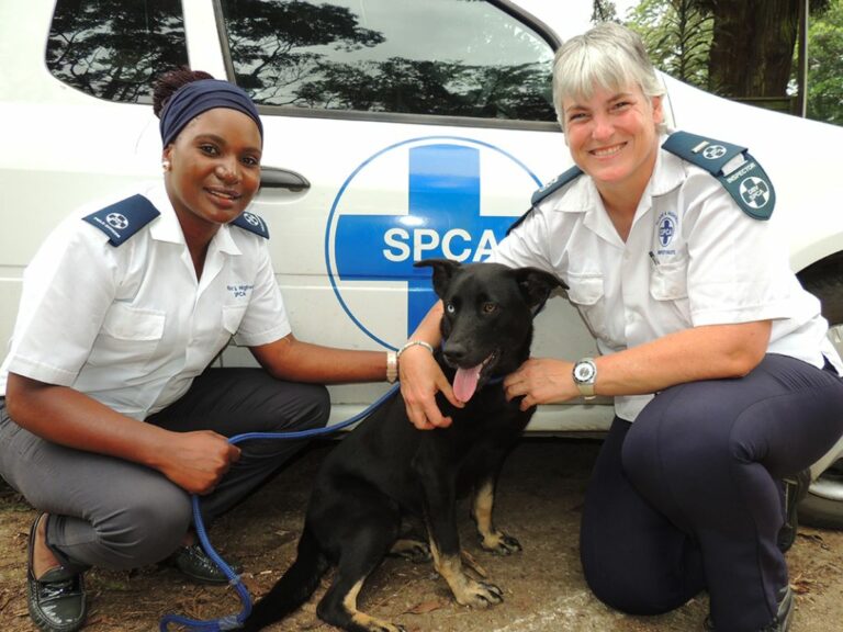Dedicated Trainee Inspector Pamela Zondi and Inspector Petra Abrams with Nonna.
