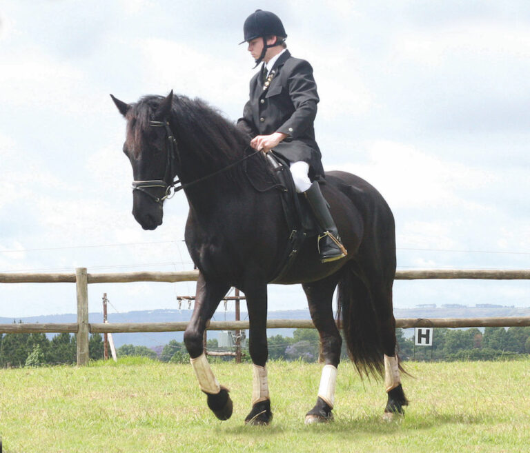 Dressage champion Mark Frenzel on his horse Wanda Fiji. Karen Beytell is the horse trainer (in pic) and Mark's coach is Kathy Kirkpatrick (not in pic). PICTURE: SHERELEE CLARKE