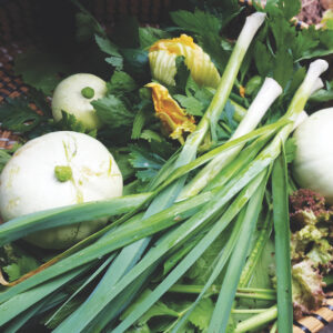 Veg harvest at Moontree