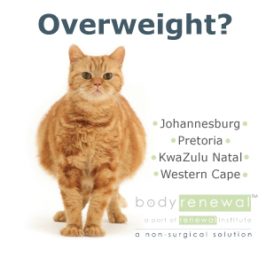 Medical Weight Loss