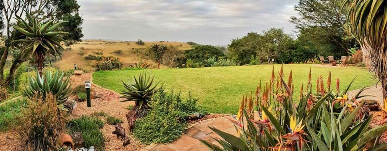Indigenous Open Gardens: Transformation