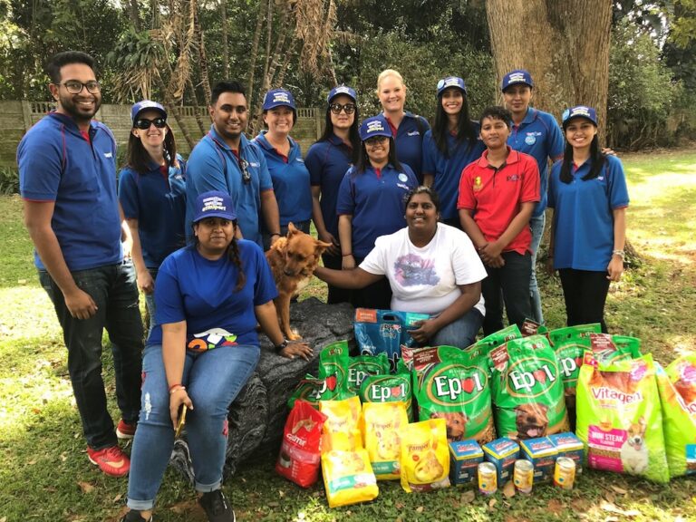 Toys R Us & Babies R Us TRUpers visited the PACT shelter on Friday with generous donations of food, pet care products and blankets for several abandoned cats and dogs.