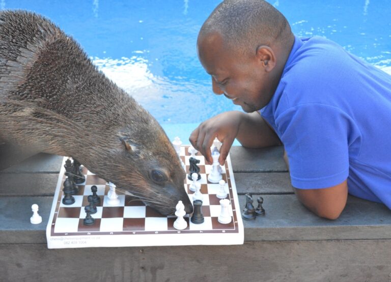 Peter Baloi animal behaviourist and Ilanga 1