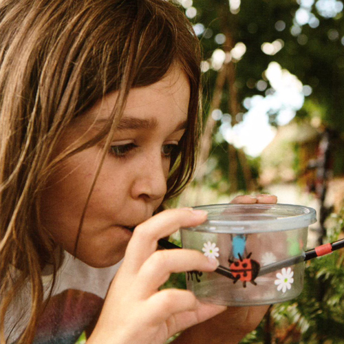 Holiday Activities for Kids