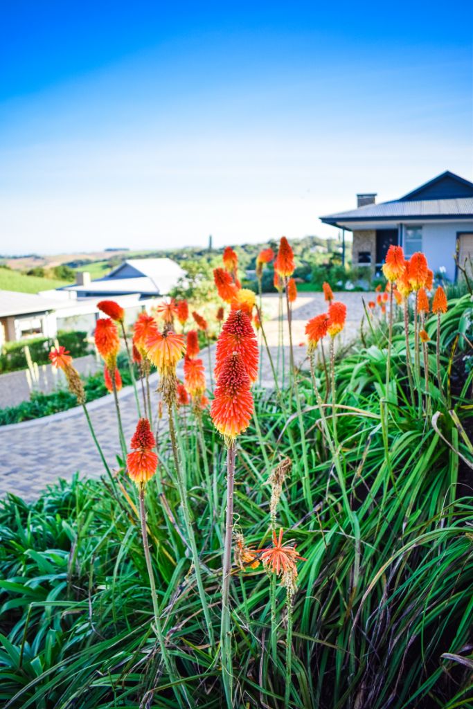 The rise of retirement estates A garden in a retirement estate.
