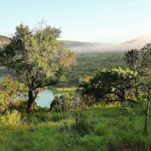 Shongweni Dam and Nature Reserve
