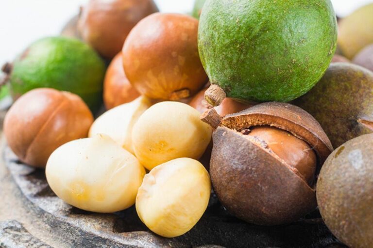 Niice Foods: Delicious Macadamia Nut Based Products