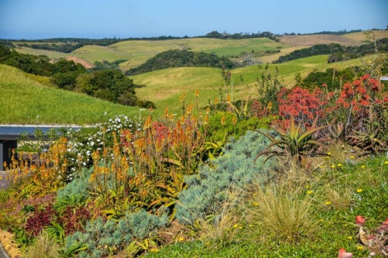 Colourful Winter Garden