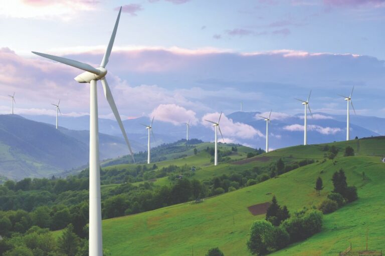 Greenwashing the World