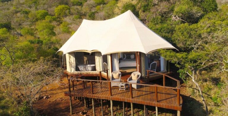 Thanda Safari’s Wildlife & Whiskey Weekend