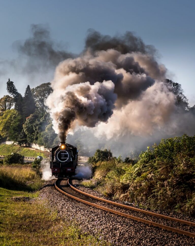 Choo Choo