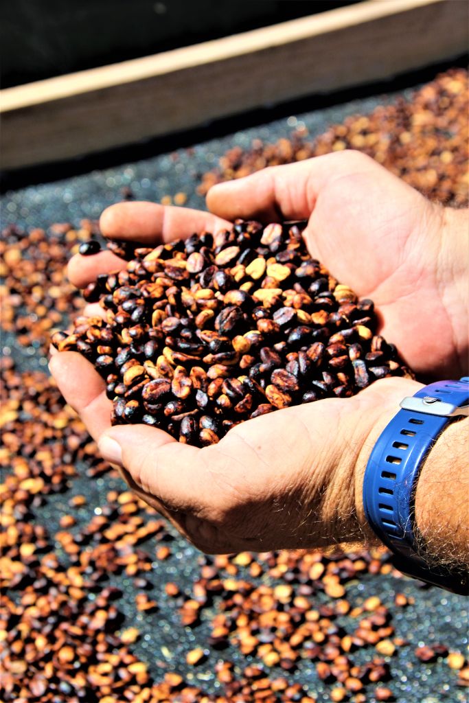 Mpenjati coffee
