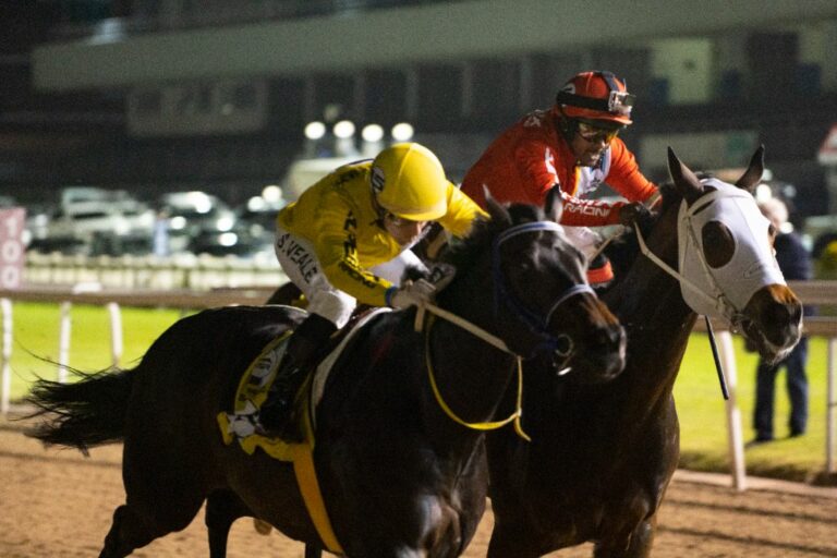horse racing