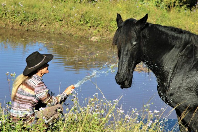 horsemanship