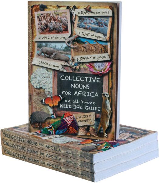 Collective Nouns for Africa