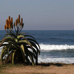Rocky bay