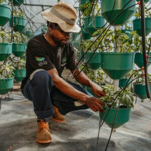 HandPicked